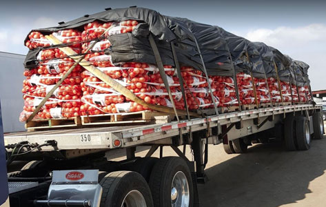 Photo of delivery truck full of Colorado Grown onions from Petrocco Farms